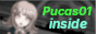 pucas01 badge